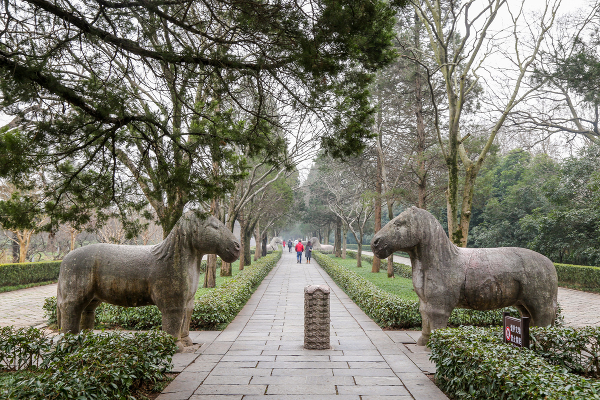 南京旅游攻略：探秘六朝古都，体验历史文化魅力