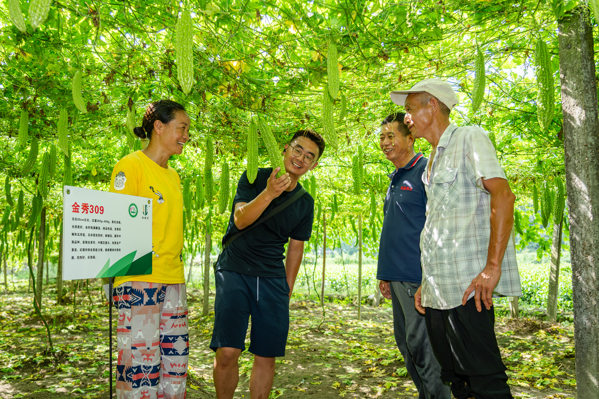 写五百字果农如何推广高效农业技术