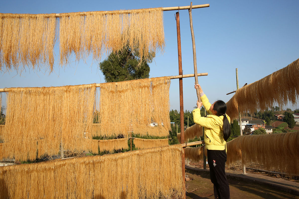 东兴区东方科技职业技术学校2020年有哪些专业