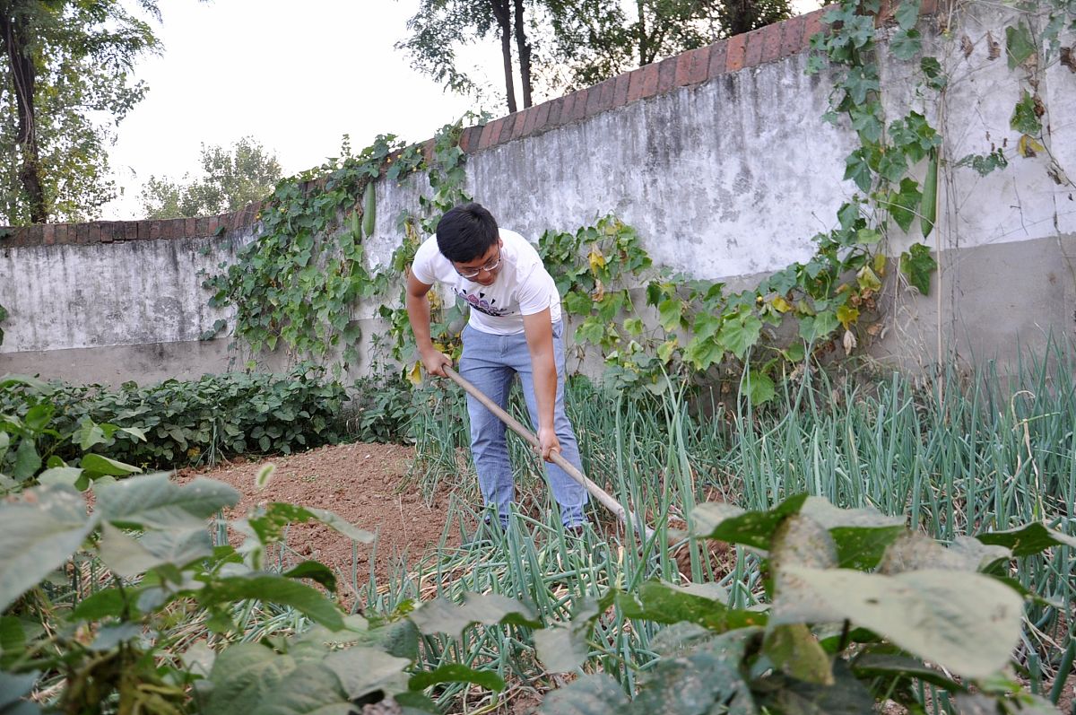河南驻马店农业学校2022年有哪些专业