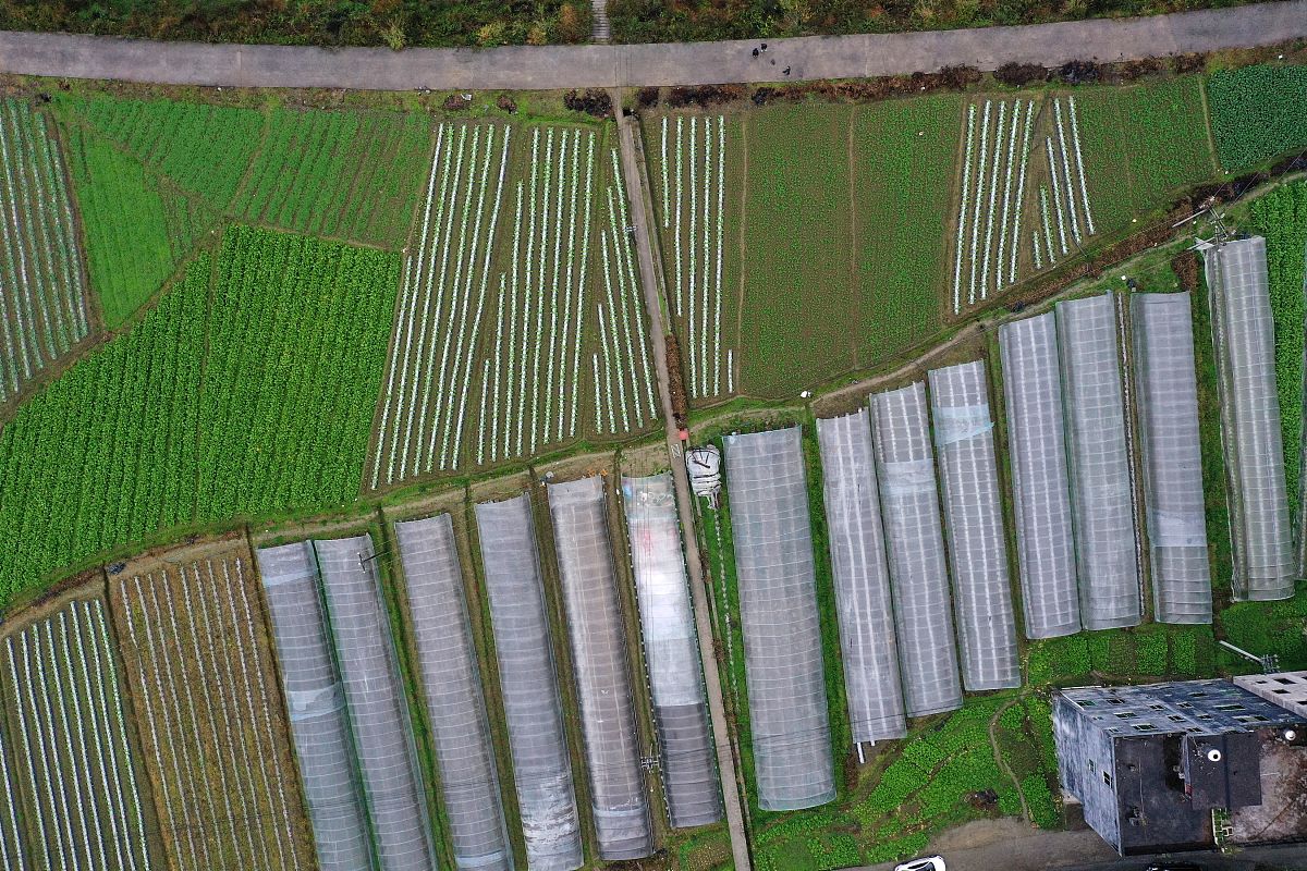 村级全面工作表态发言稿