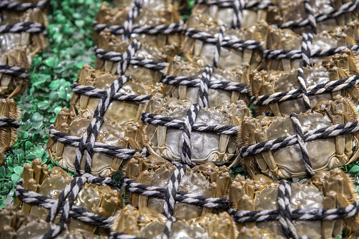 母蟹最佳体重：如何判断你的母蟹是否健康？