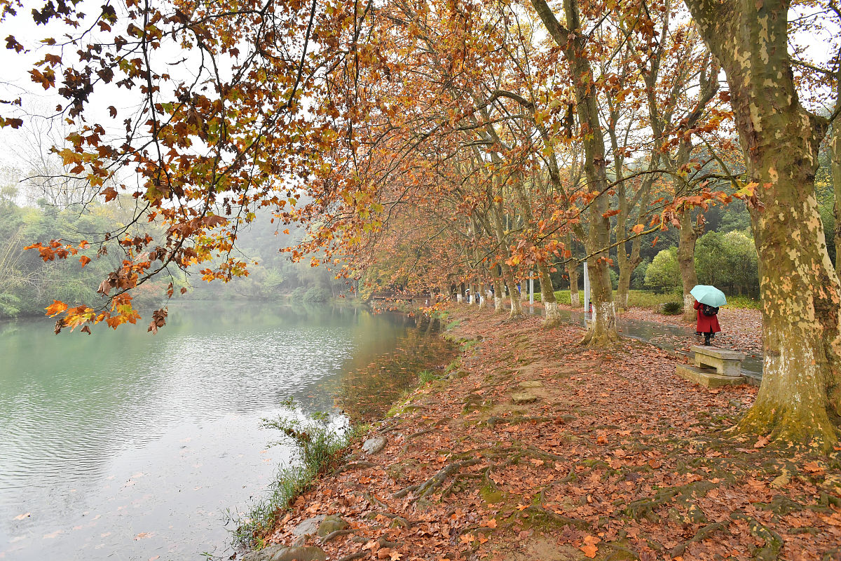 贵阳哪有铁道车辆专业学校