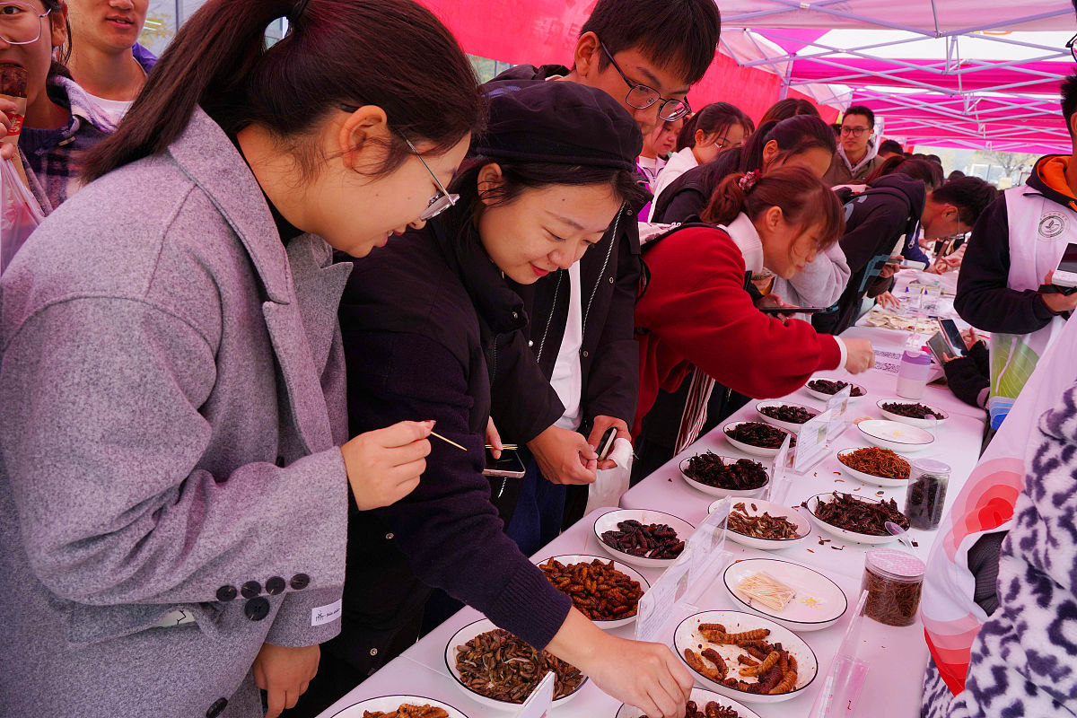 社区实习周记：精彩的中秋主题活动