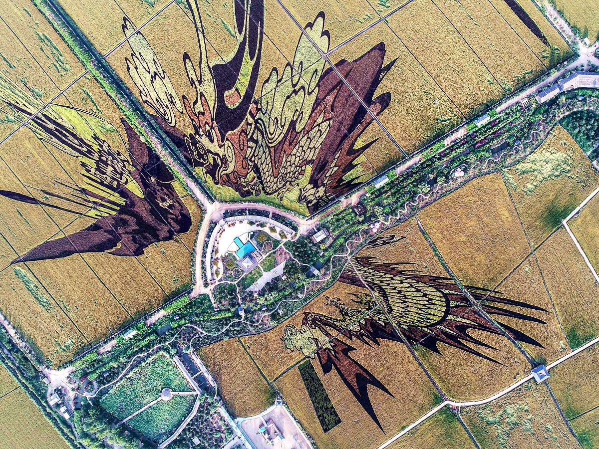 稻梦空间又名沈阳稻梦空间。优化