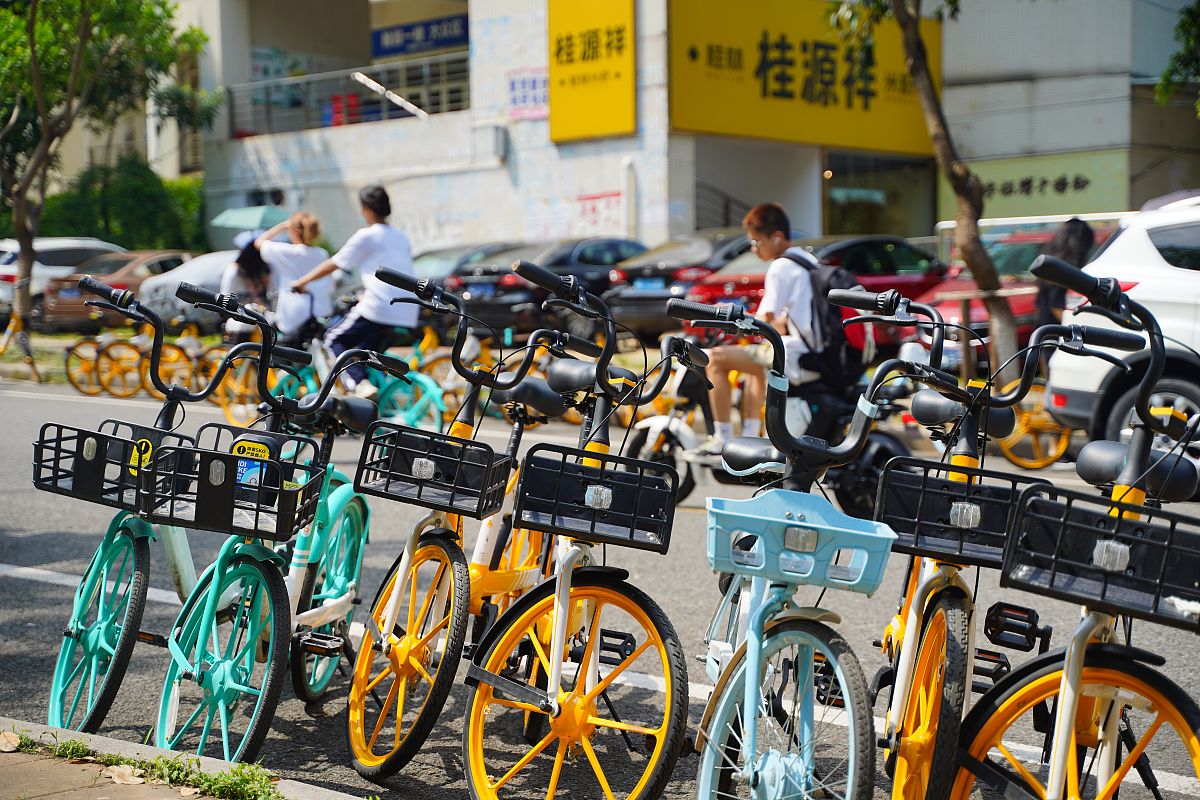 大学生毕业自我鉴定：回顾四年成长，展望未来