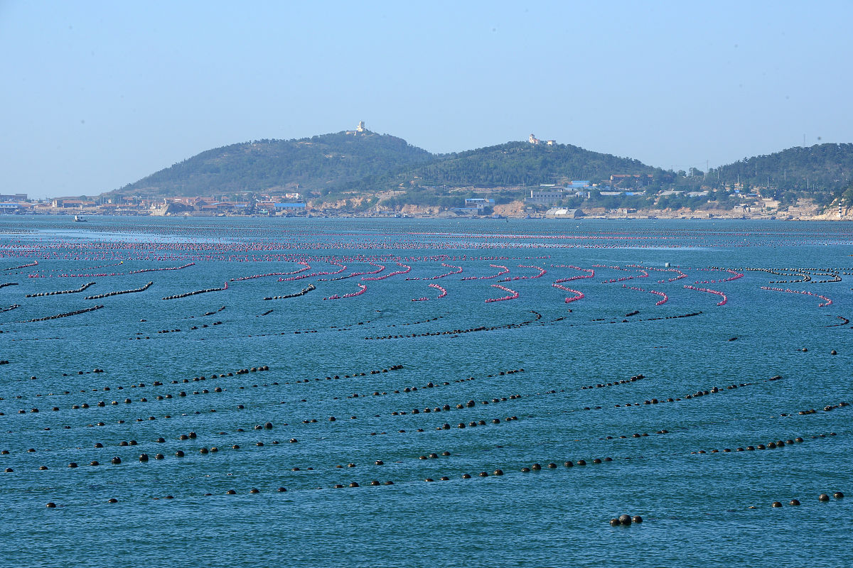 烟台初中毕业能否上烟台市区高中？- 最新招生政策解读