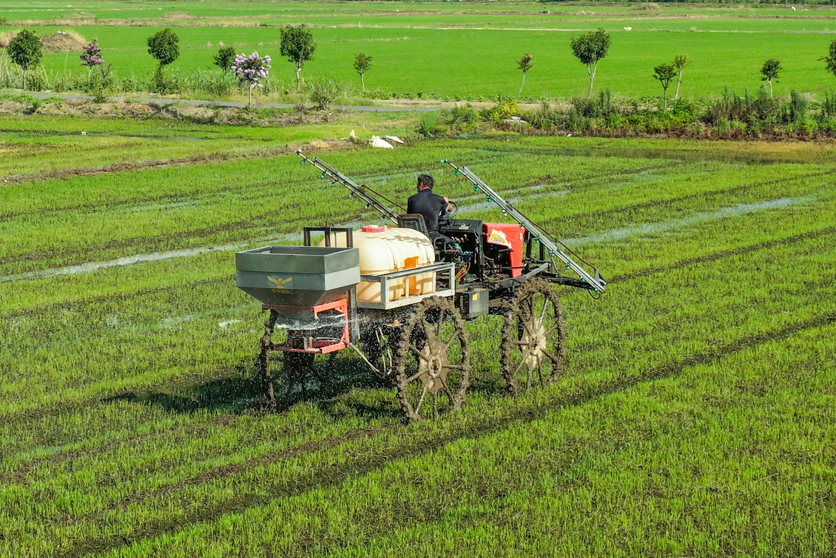 水稻机械化生产：提高效率，降低成本，助力农业现代化