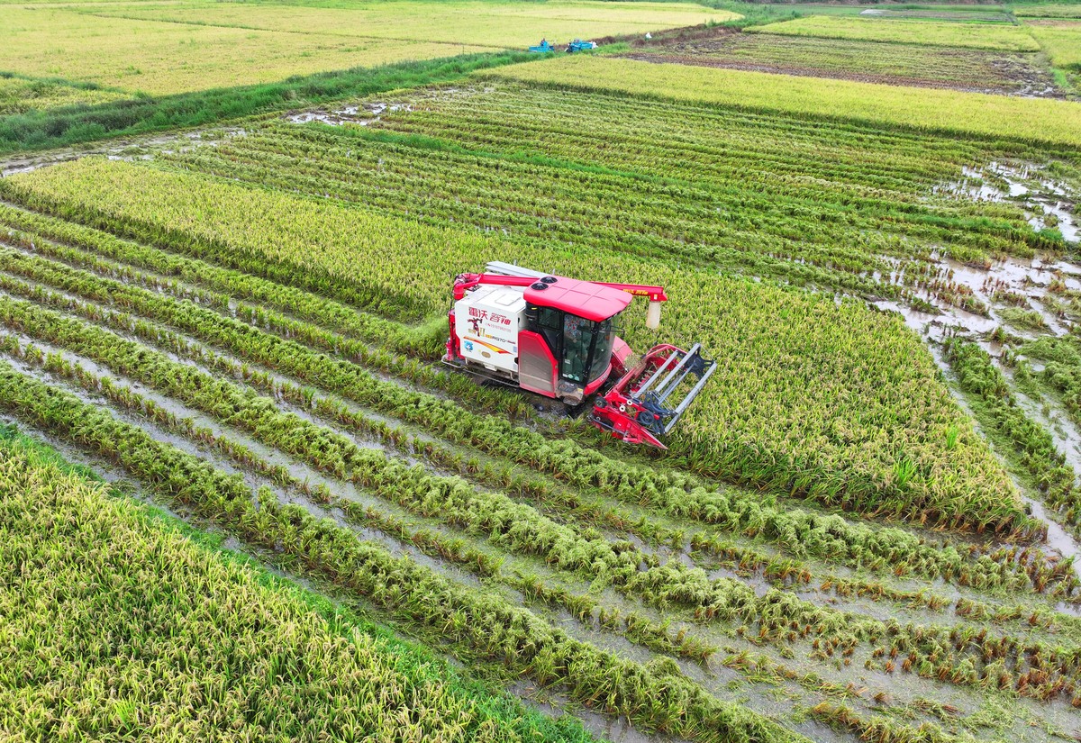 亚热带特色农业机械的论文