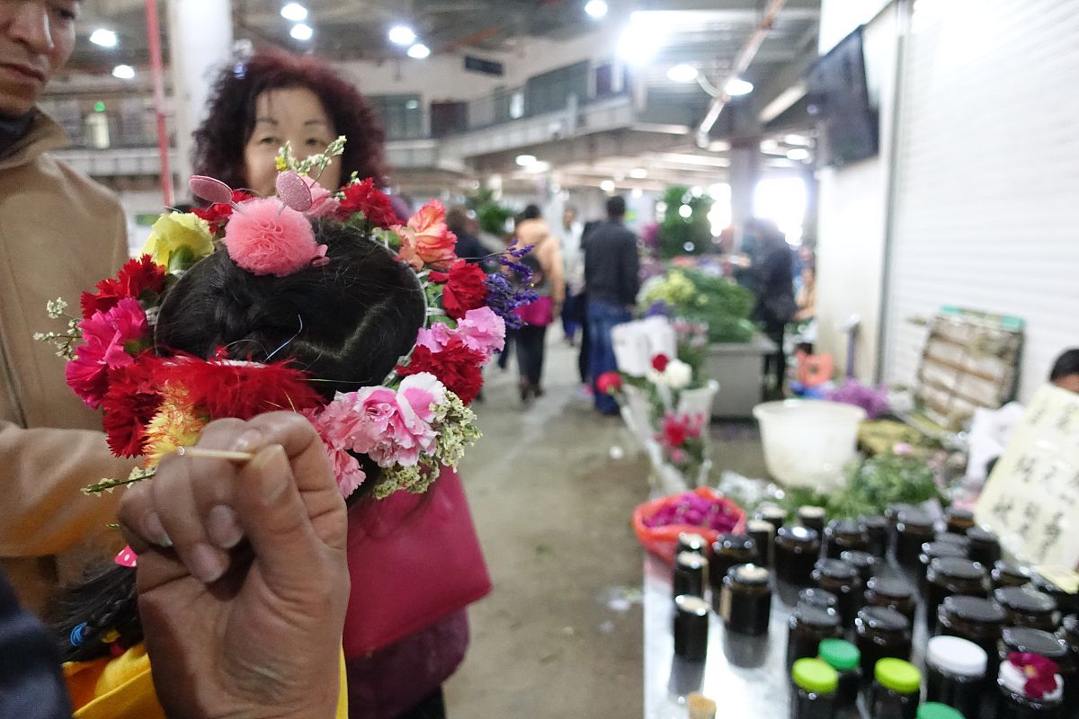 云南艺术学院地址：如何找到这所知名艺术院校？