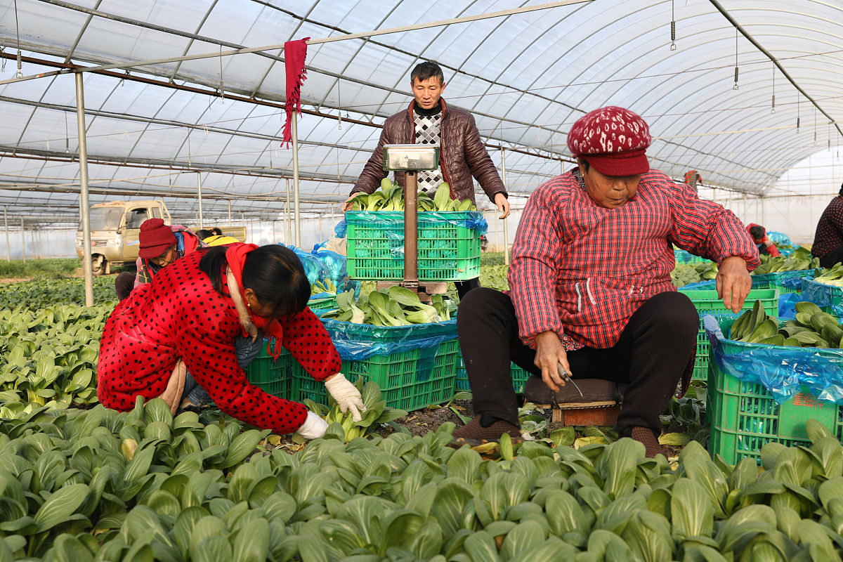 扶贫产业对村民的积极影响一百字左右