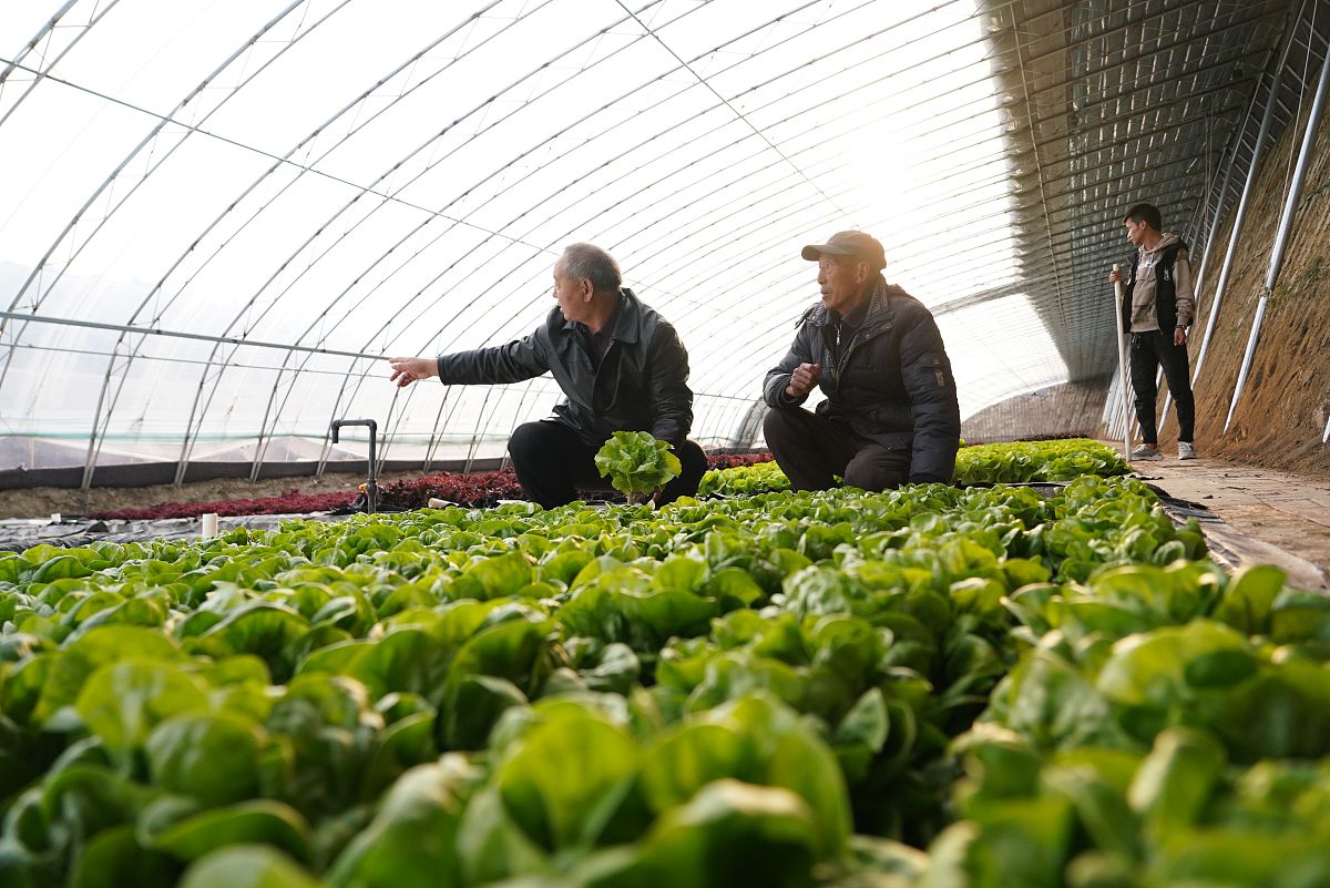 重庆人文科技学院单招联系方式：如何了解这门学科？