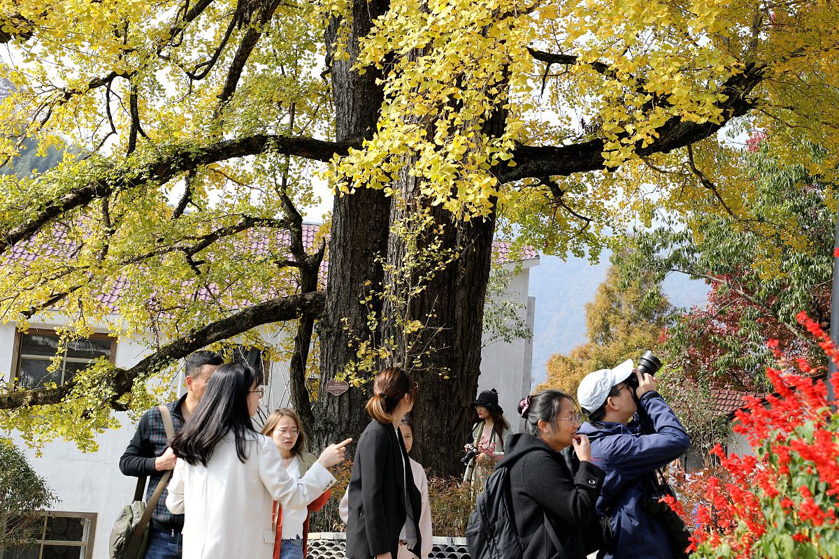 黑龙江职业学院2019年招生简章 - 报名条件、专业、政策