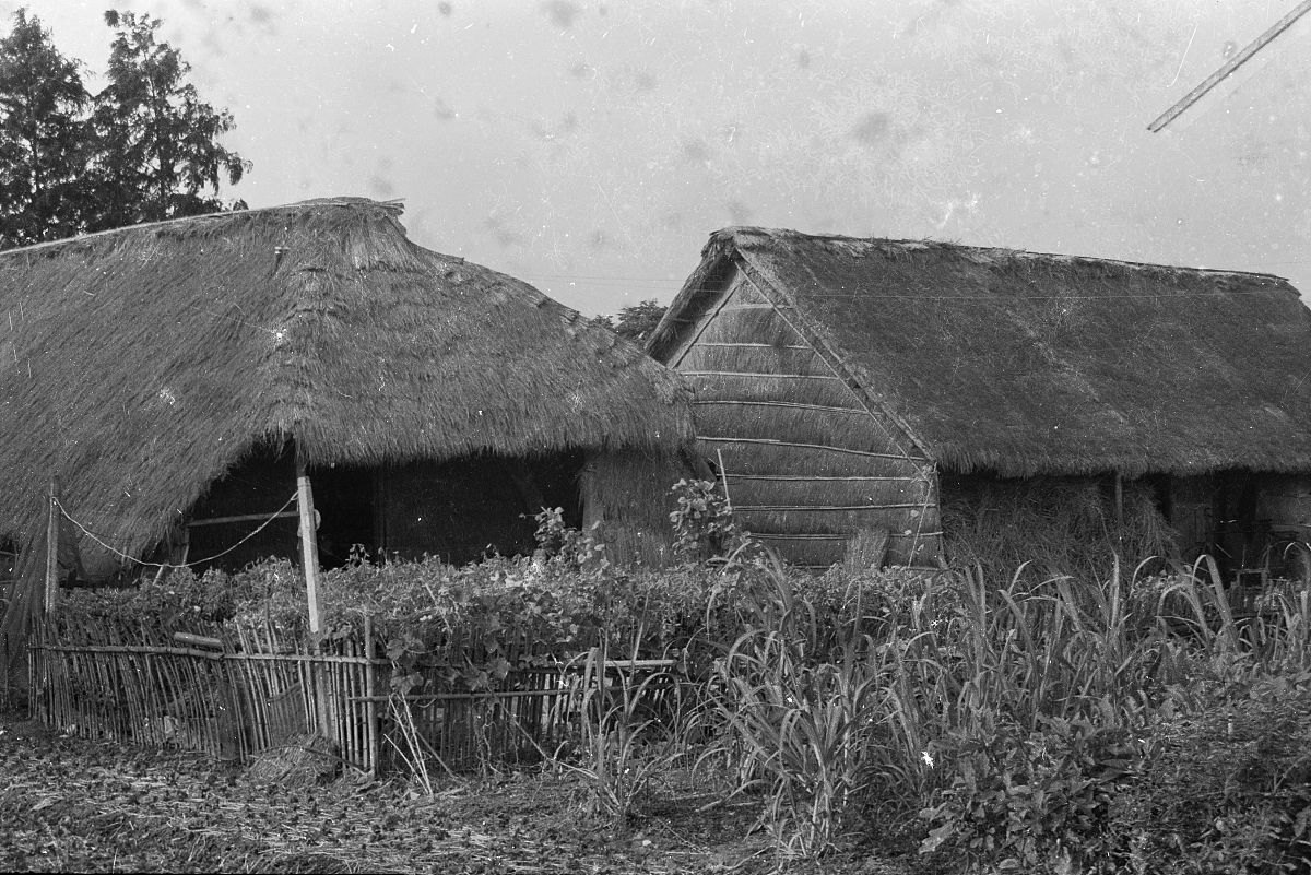 第一代住房:上世纪六,七十年代萧山沙地农民住的草舍
