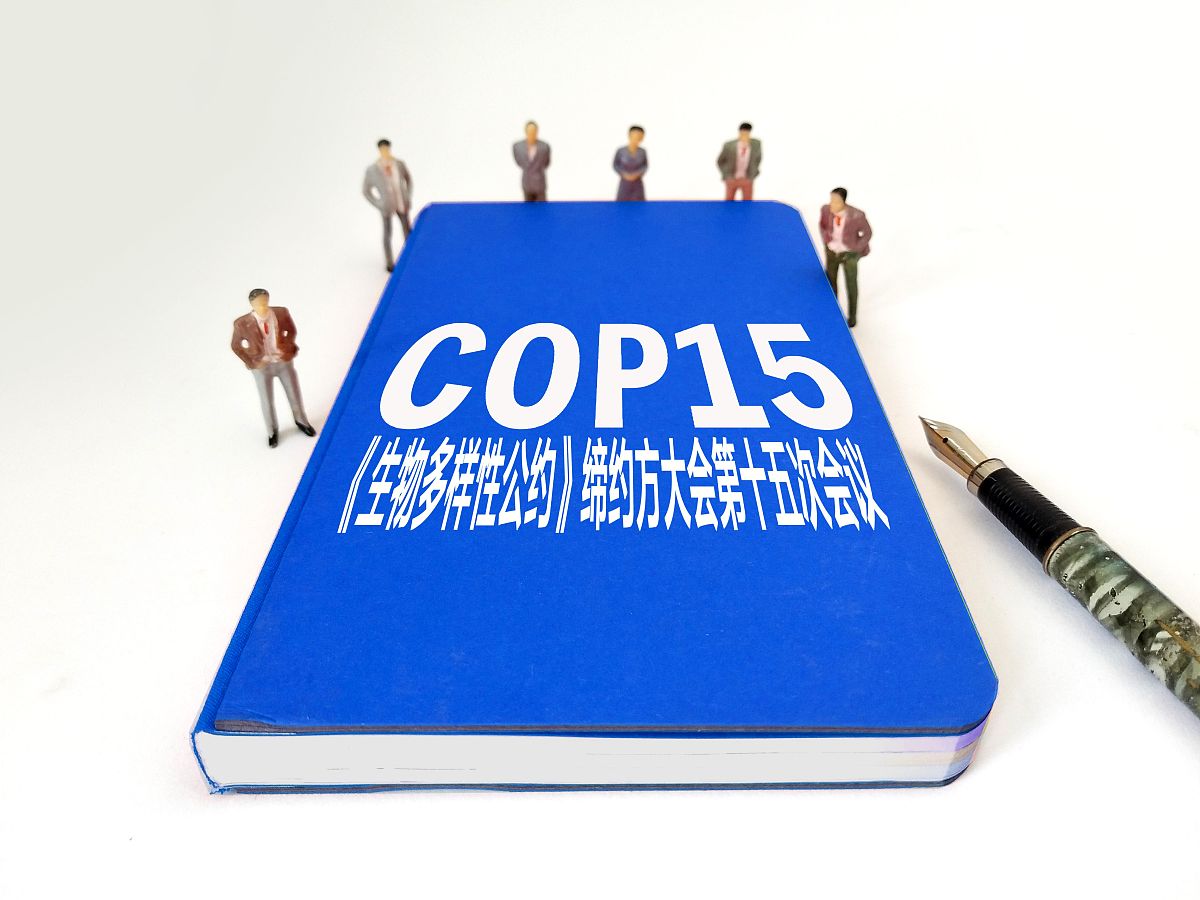 商业配图:《生物多样性公约》缔约方大会第十五次会议(cop15)