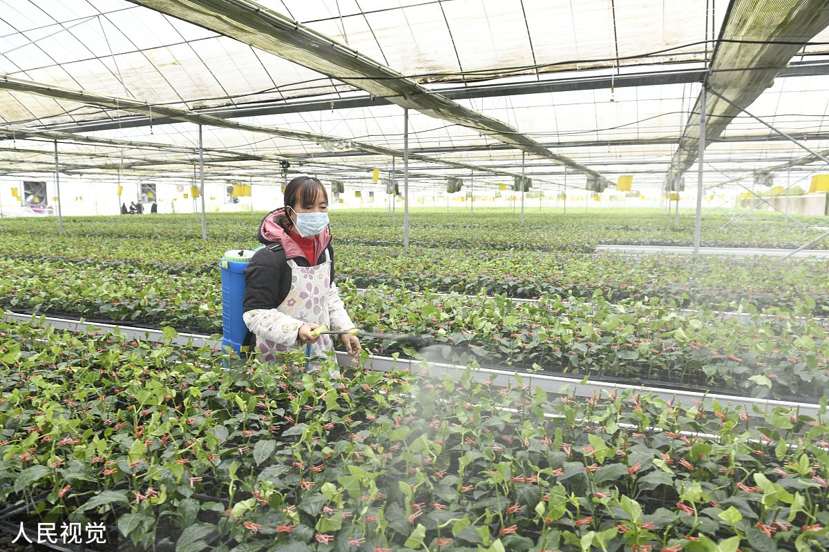 成都农业科技学院怎么样