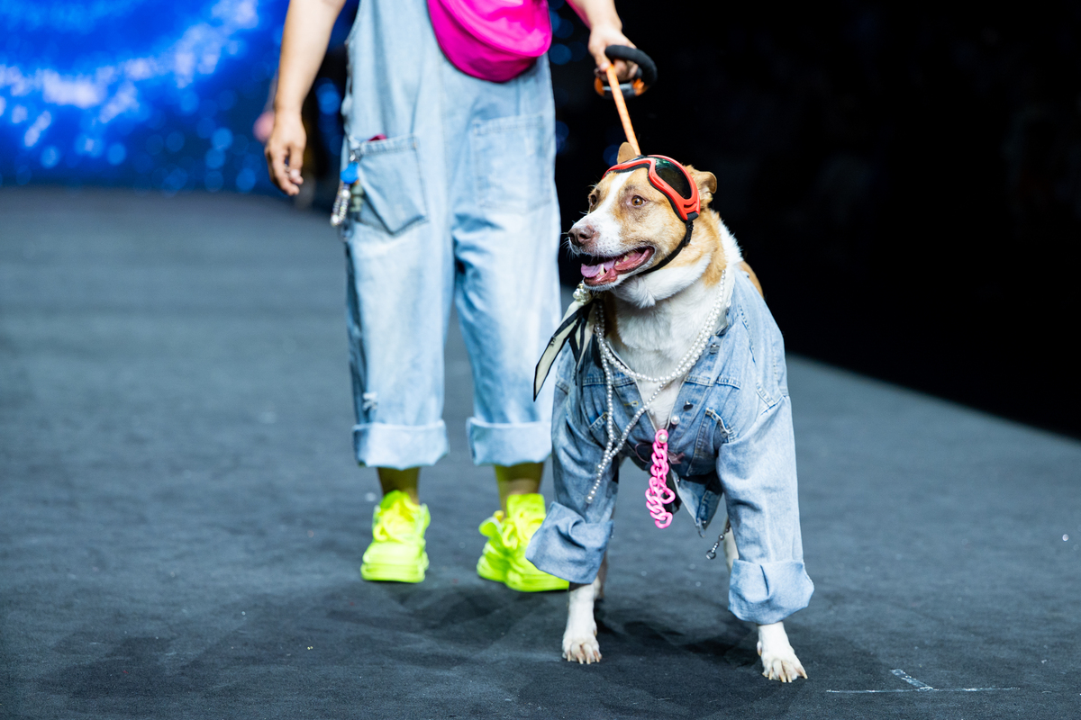 广西农业职业技术学院宠物临床诊疗技术专业专业到底行不行设有哪些课程