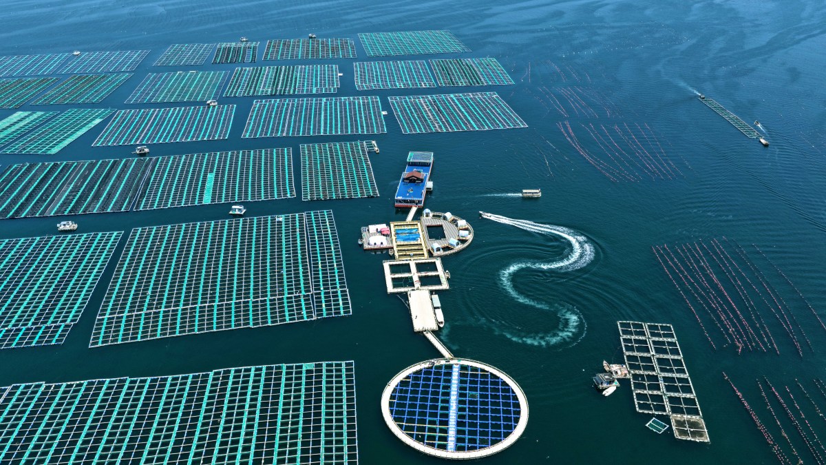 海洋科技如何与水产养殖结合