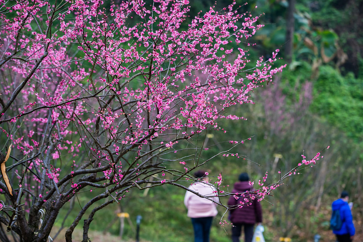 2021年重庆彭水县职业教育中招生简章