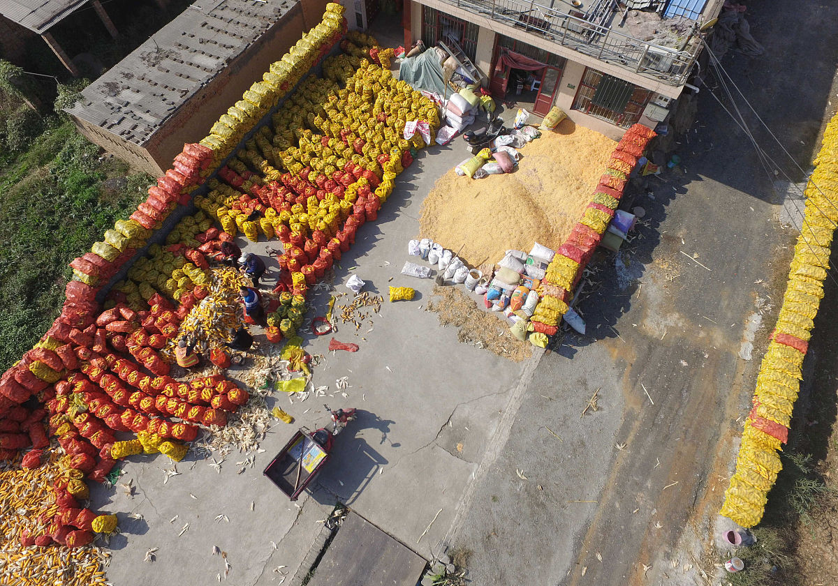 运城天龙学校怎么样、好不好