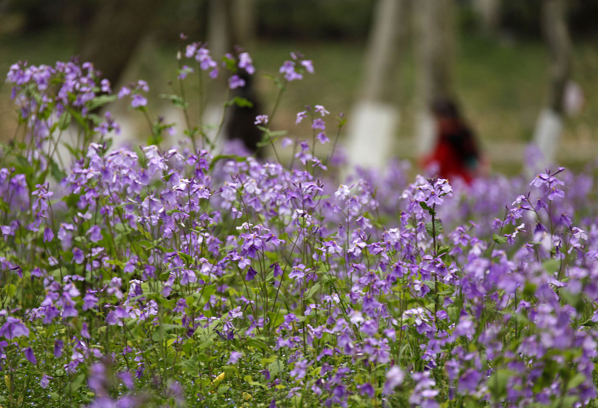 秦皇岛市燕海科技职业学校2023年招生简章