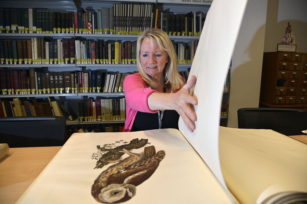 圣经和古兰经：两大宗教经典的比较