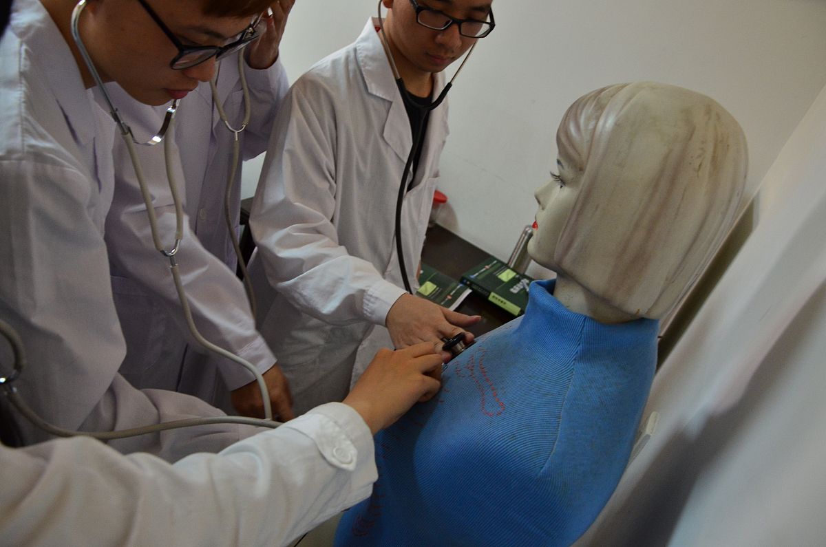 干细胞治疗肩袖损伤：实验方法及疗效评估