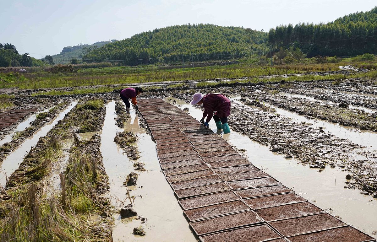 2022年广西卫校专业设置：最新专业及就业前景