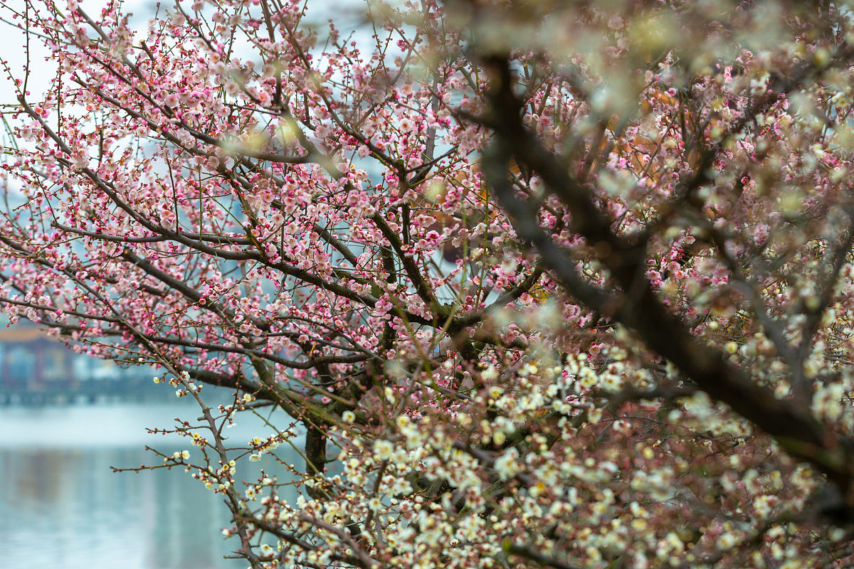 2020年成都市中小学开学时间：2月17日正式开学