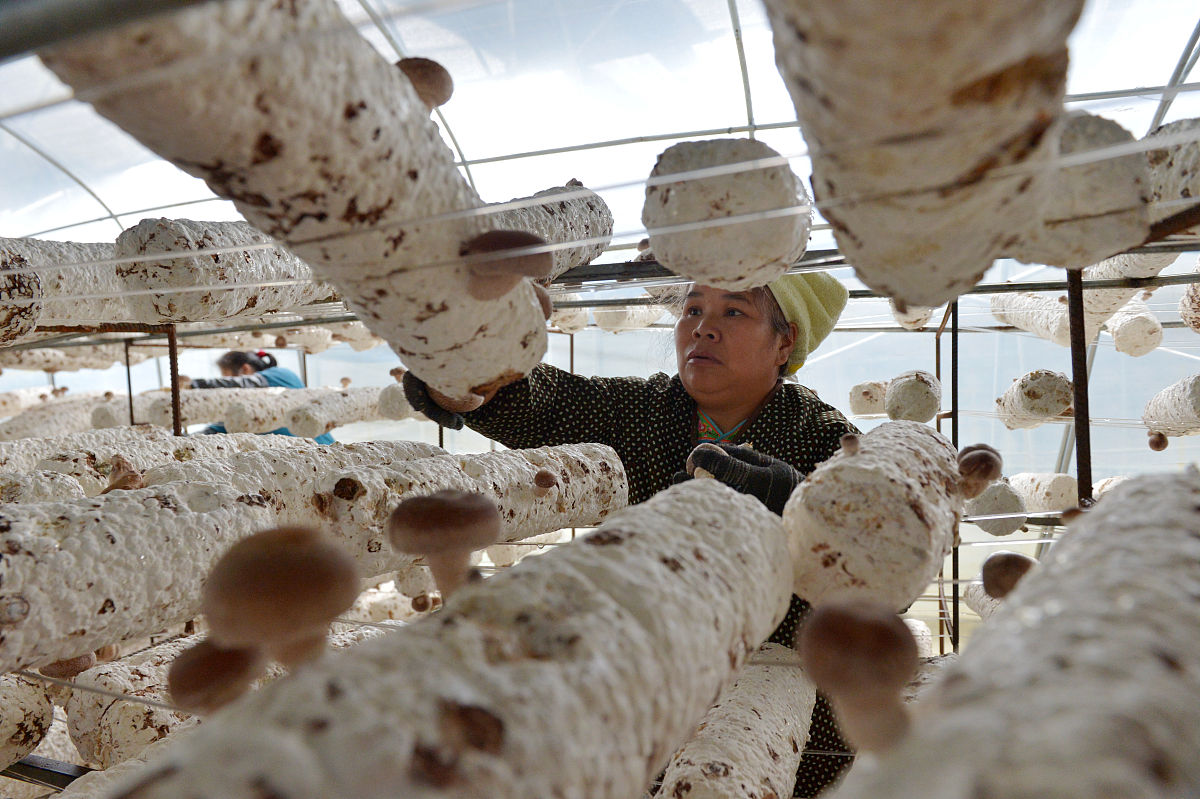 贵州2022年中专学校可以考大学吗