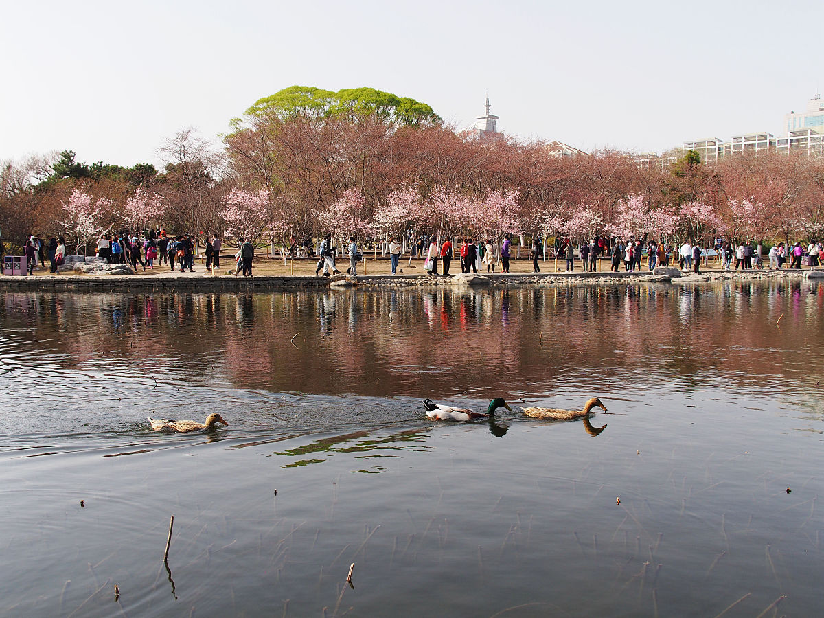 玉渊潭公园游玩时长？