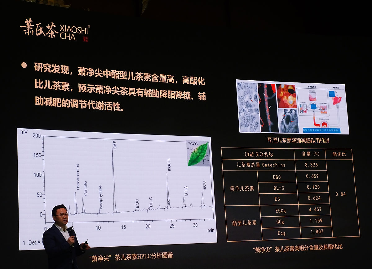 声源定位原理详解：如何确定声音来源？