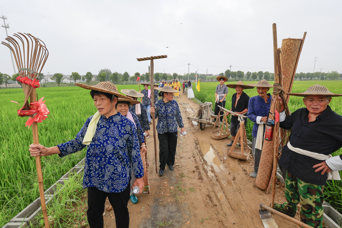 乡村振兴社会实践报告：助力农村发展，共建美好未来
