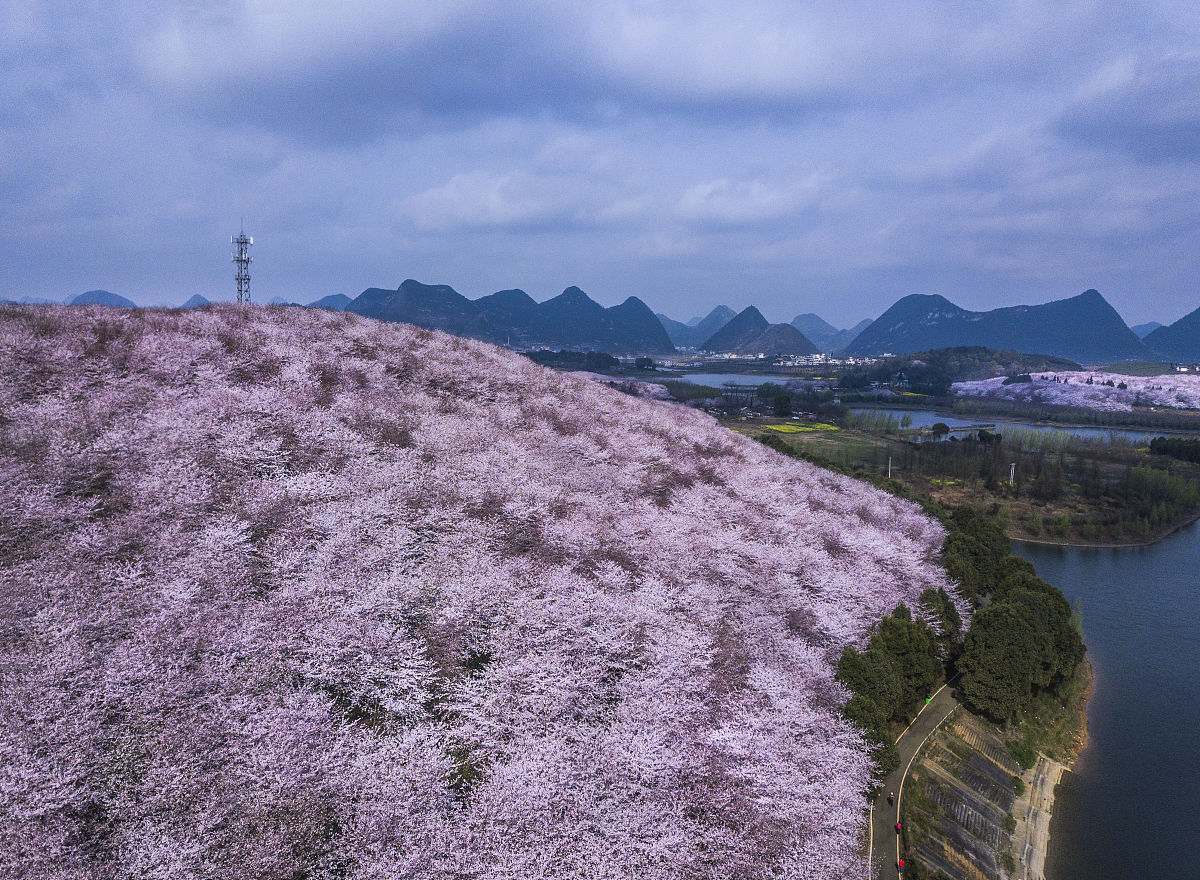 丘北县自驾游：桃花、花海、仙人洞，还有美味小吃！
