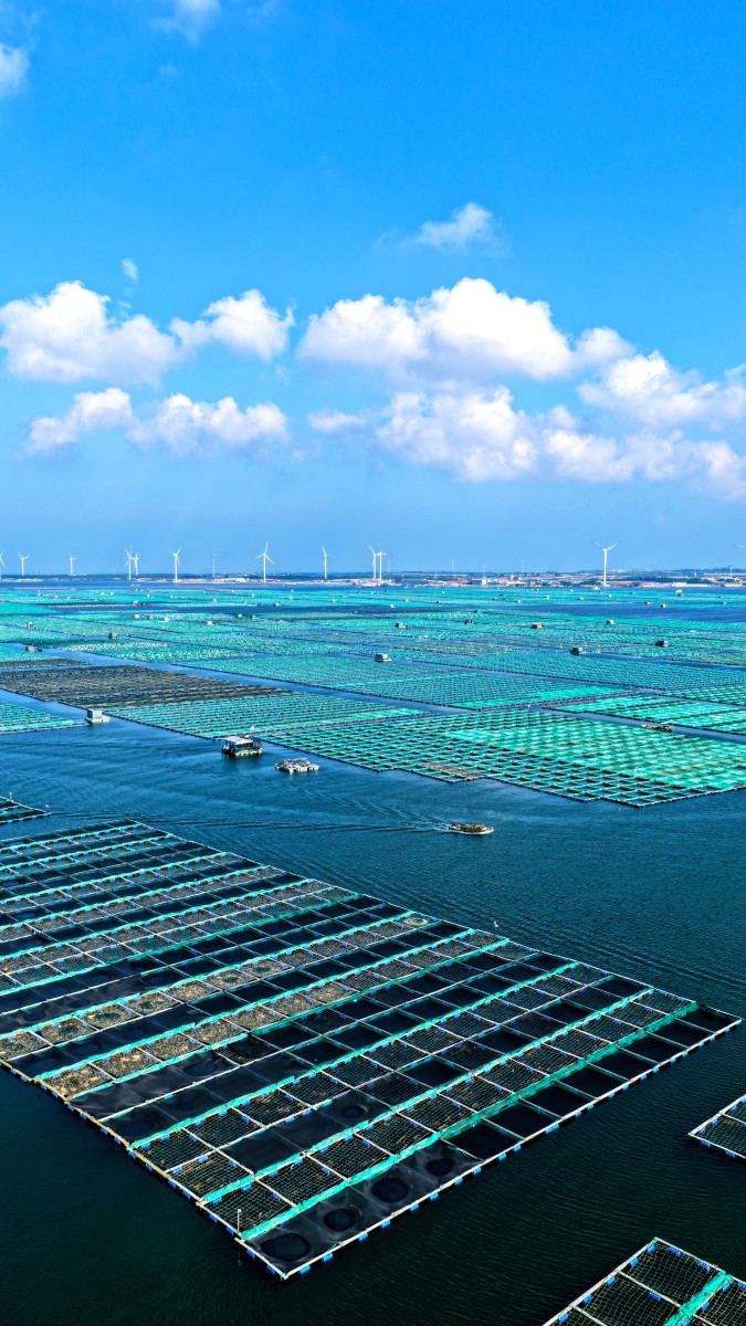 海水生态养殖专业就业前景及方向｜发展趋势解读