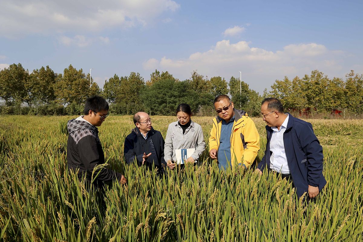 凉山州农业学校办学模式探究 - 培养优秀农业人才