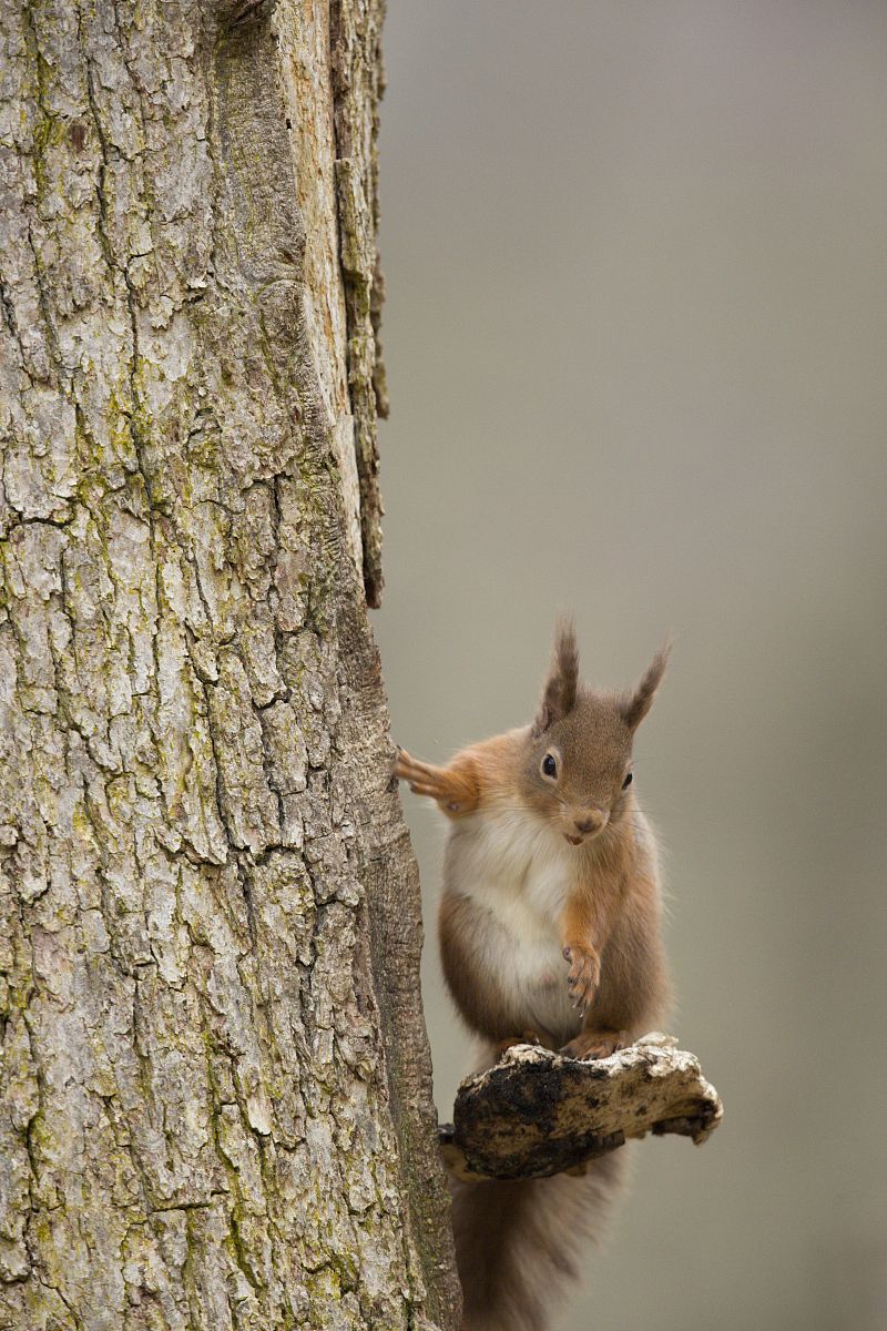 肇庆市三只松鼠仓库管理优化问题研究调查问卷实施过程及结果分析