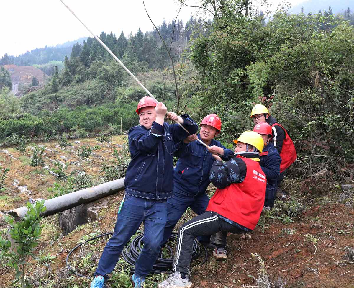 延长县农村电网维护管理问题及对策研究