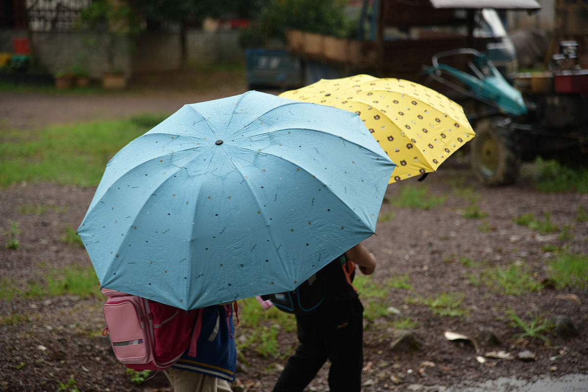 关于亲情内容带雨这个元素的800字作文。