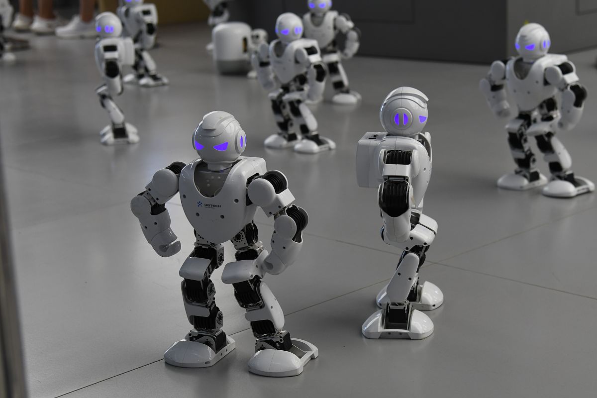 小学编程与机器人结合的校队课教学计划