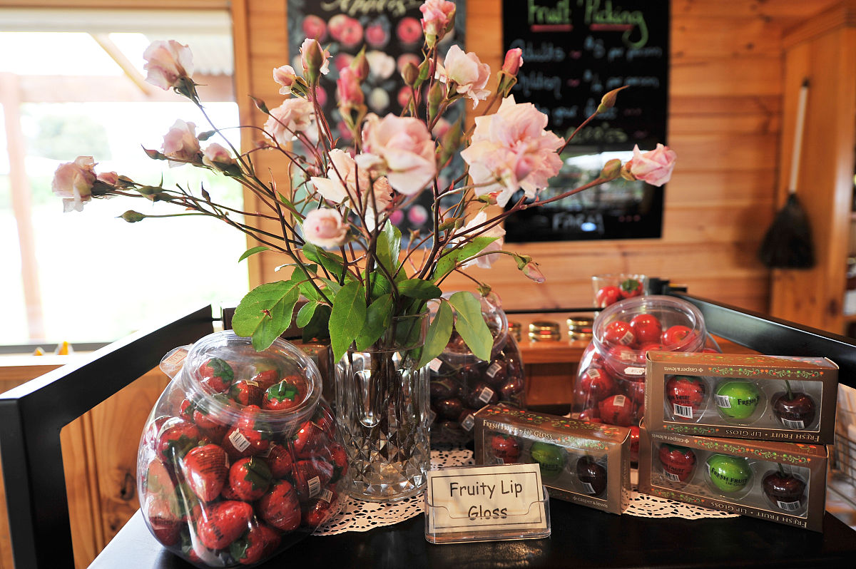 曲靖农业技术学校2019年五年制大专招生专业计划