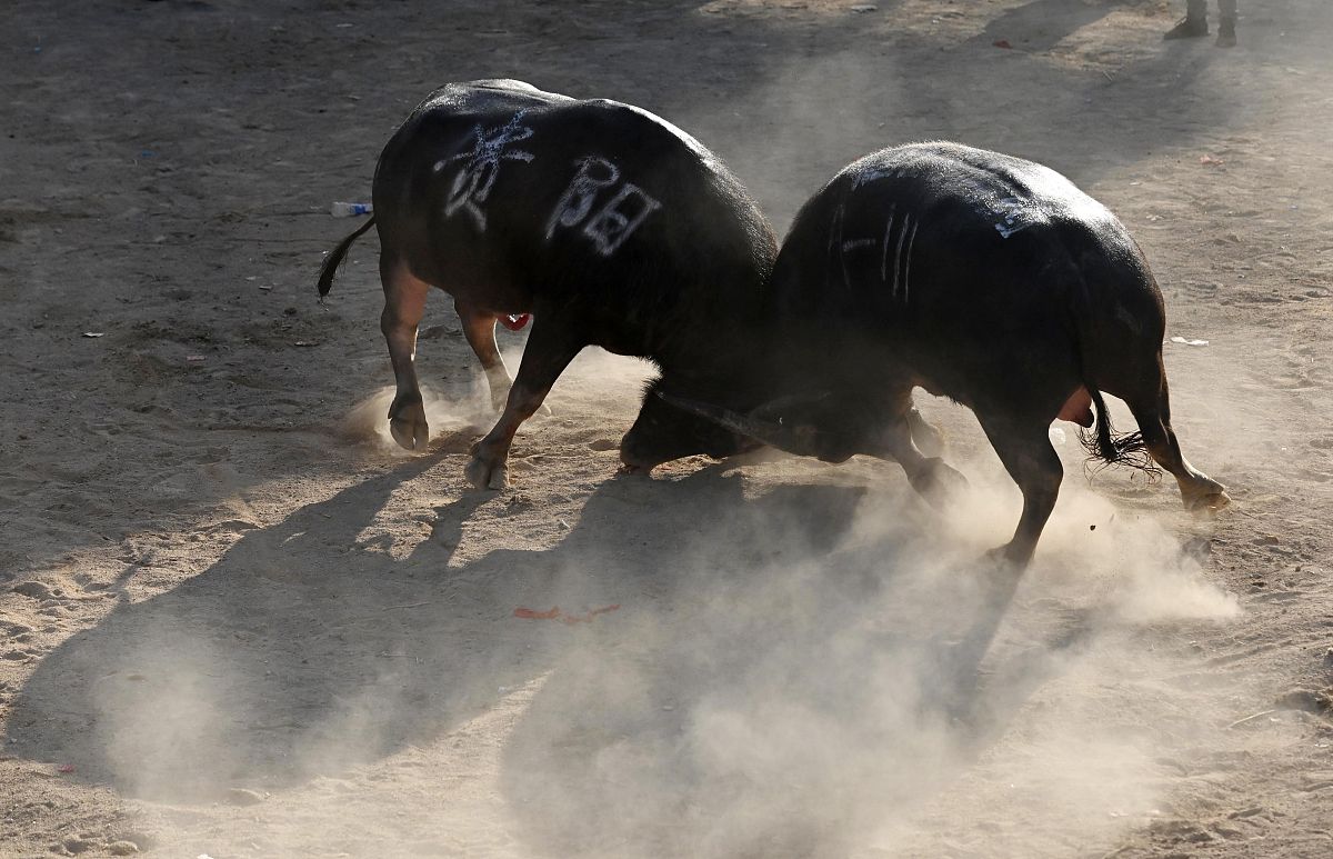 4、头号玩家1目标制定：签约目标5012W审批通过目标4522554W2执行动作：签约：1 存量客户：与L1OO客户进行沟通利用活动政策了解客户需求提供定制化服务促进签约重点跟进竞队已合作的头部门店。2 新签客户：利用头号玩家政策找到高潜客户和商户制定营销方案促进客户签约。履约：1 服务质量保障：对客户进行定期回访及时解决客户问题确保客户的深度合作意愿及配合度。2 企业微信监控：建立企业微信监控系