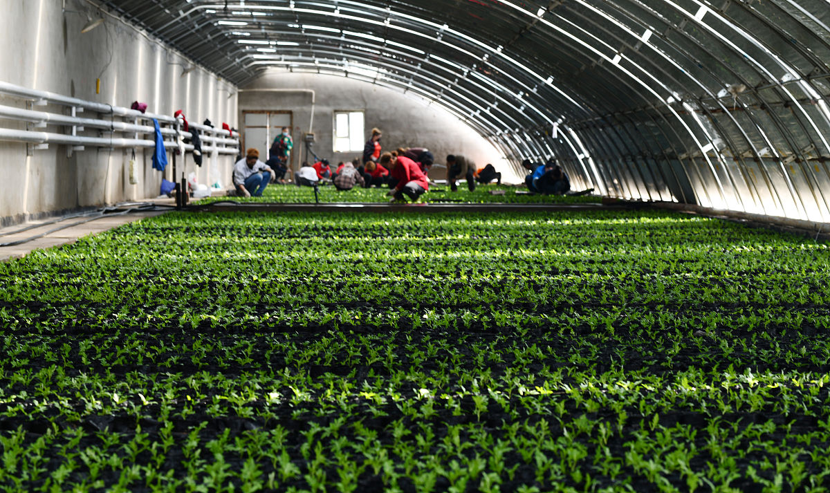 阳曲县农业技术学校农业数字化专业怎么样