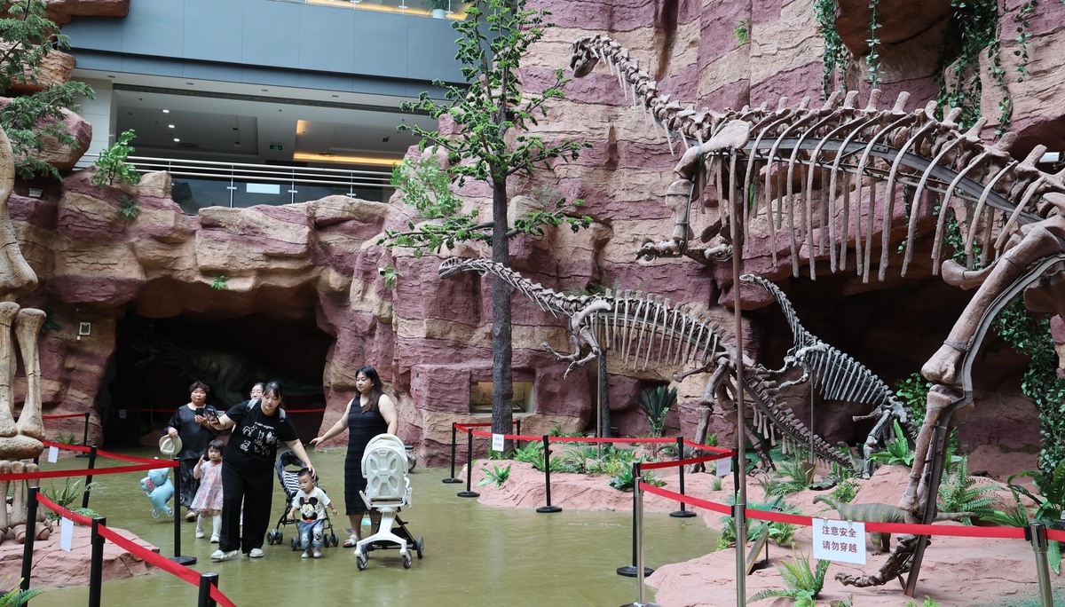 探秘诸城恐龙公园：一次难忘的冒险之旅