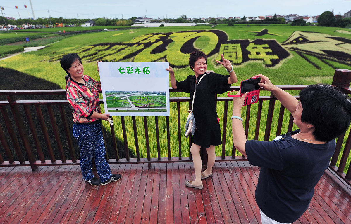乡村振兴短视频账号策划全案：助力美丽乡村发展