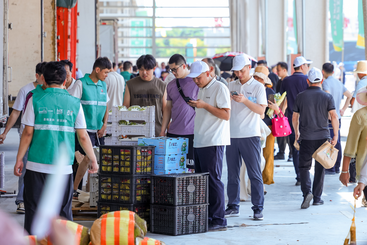 农产品贸易的一般模式分析