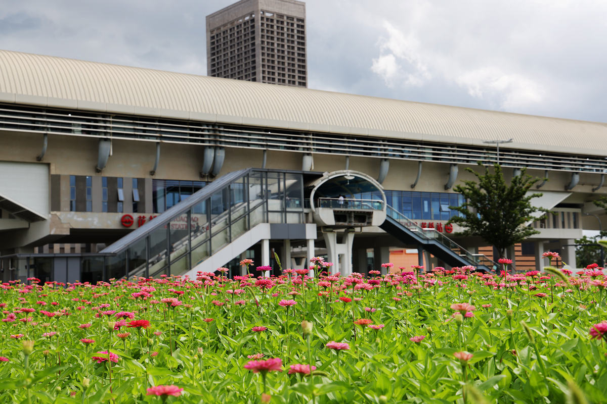 重庆2021年轨道交通学校有哪些