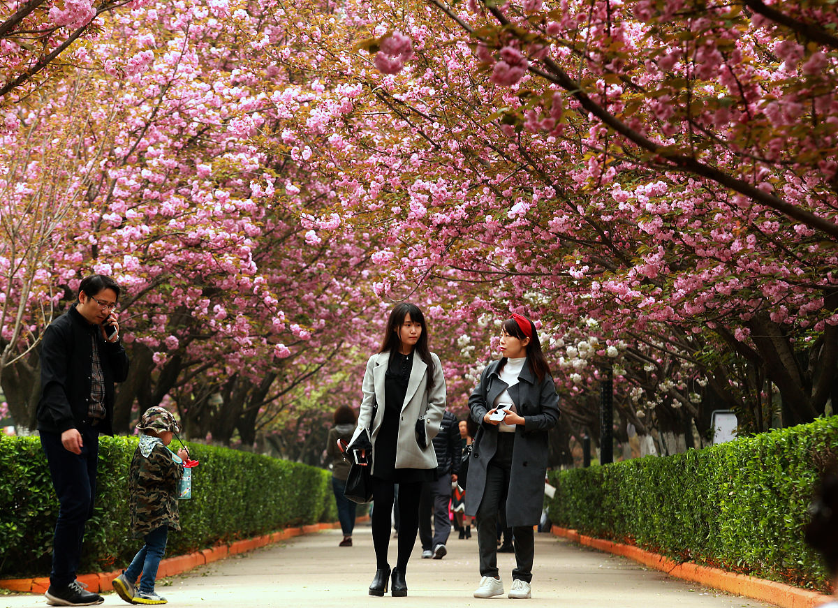 中国留学生桃花是谁