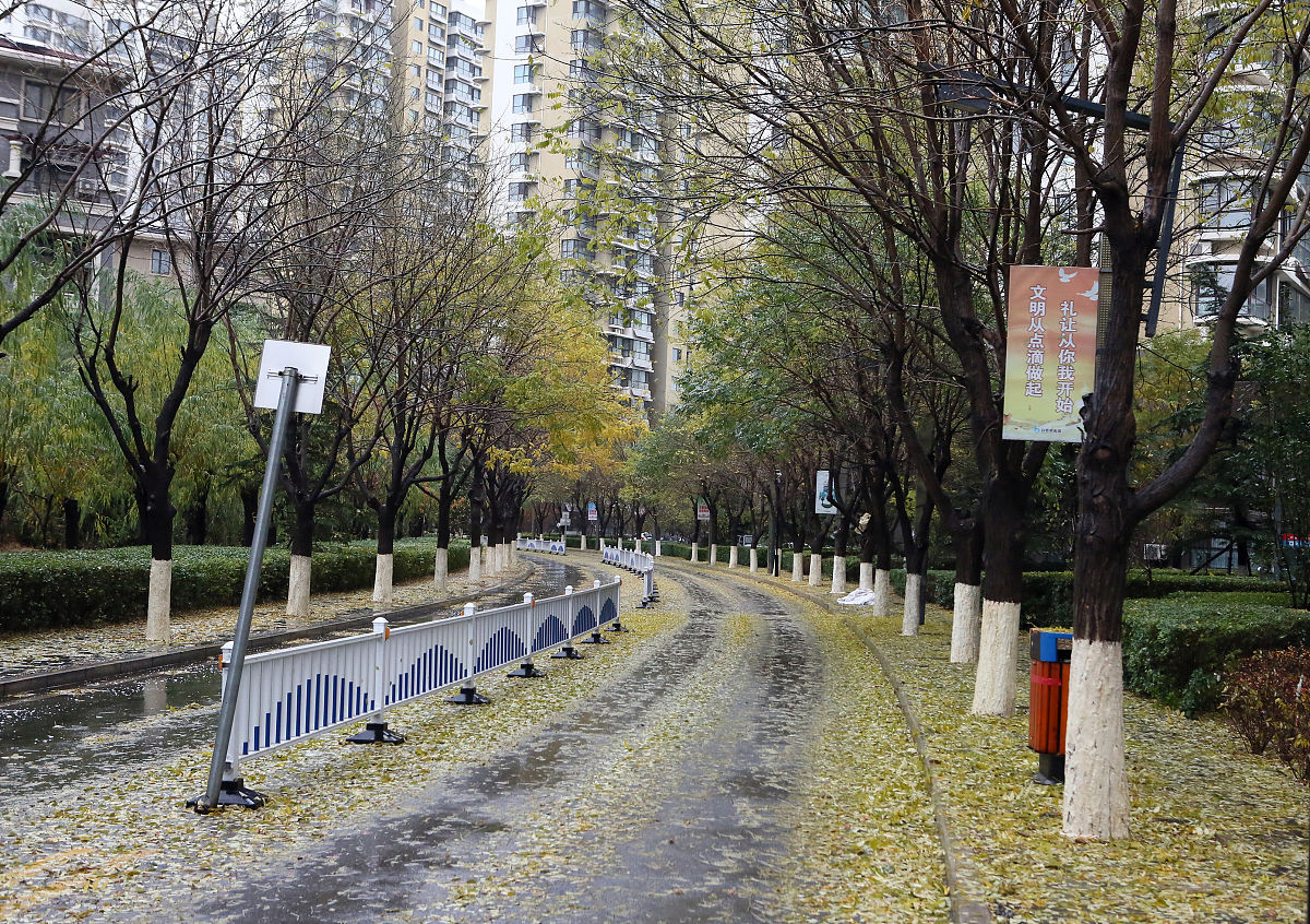 2020年11月18日,河北秦皇岛,受冷空气<strong>影响</strong>,城市降雨一天,金海湾小区