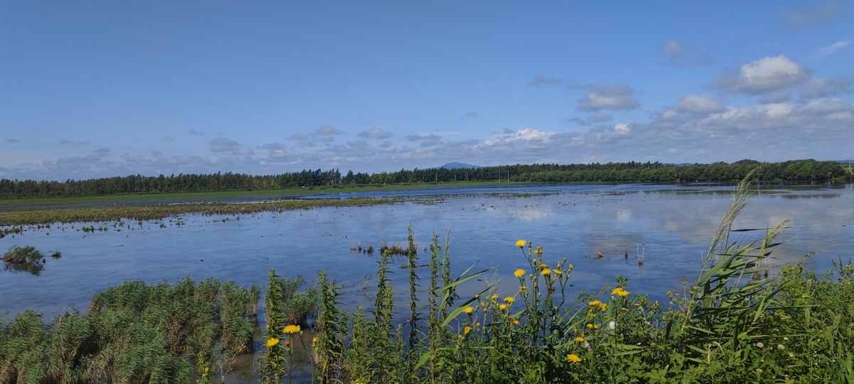 五一畅游兴凯湖攻略，玩转湖光山色！